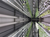 Usine de plante conteneur