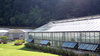 Solar PV Serre