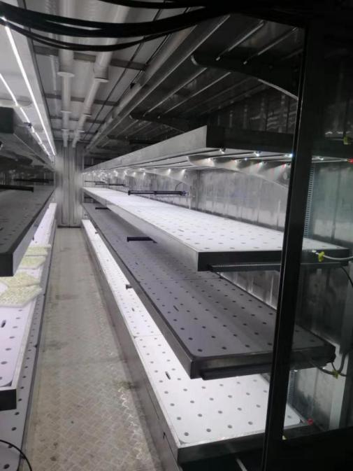 Usine de plante conteneur