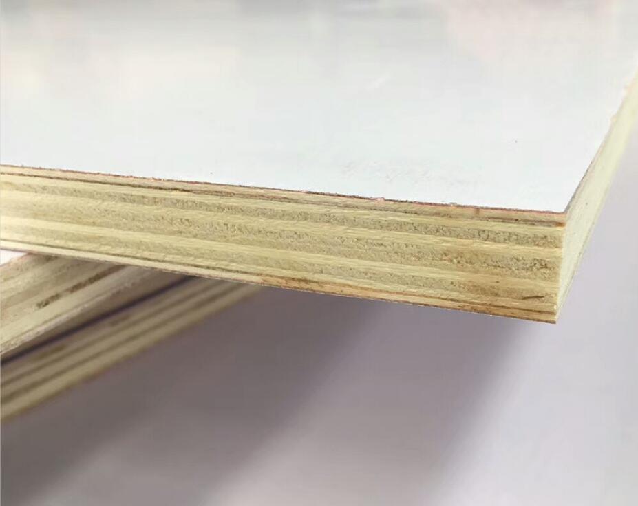 Contreplaqué stratifié