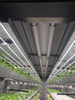 Usine de plante conteneur