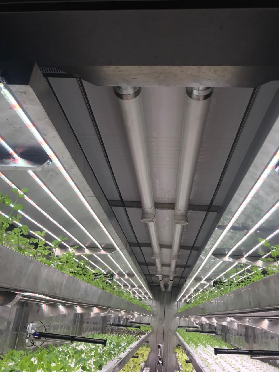 Usine de plante conteneur