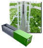 Usine de plante conteneur
