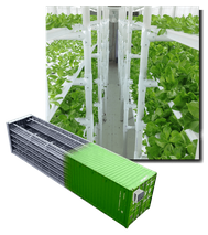 Usine de plante conteneur